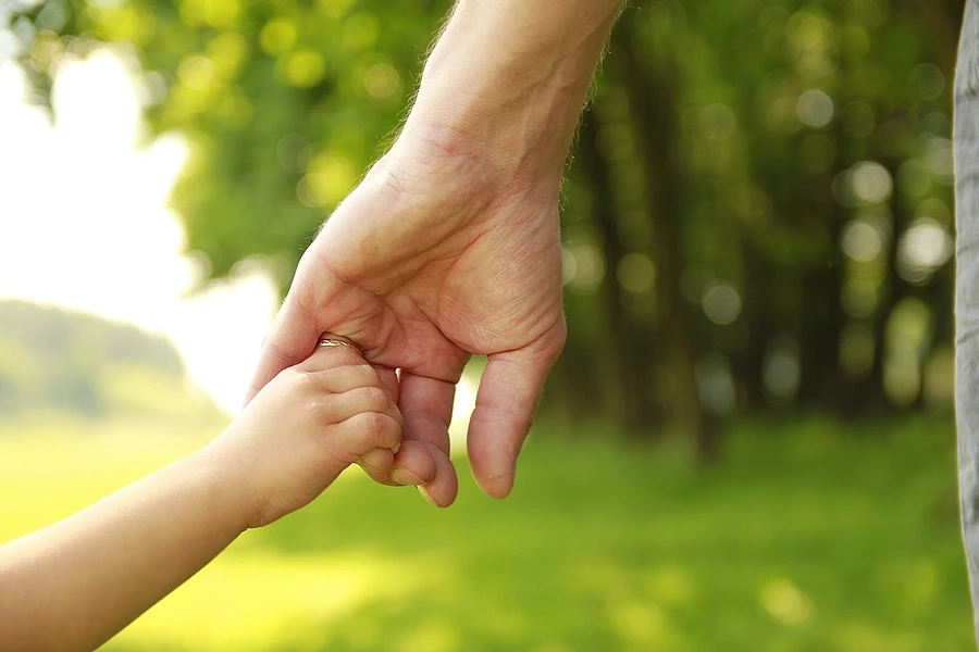 The Role of Guardian ad Litem in Special Juvenile Visa Cases